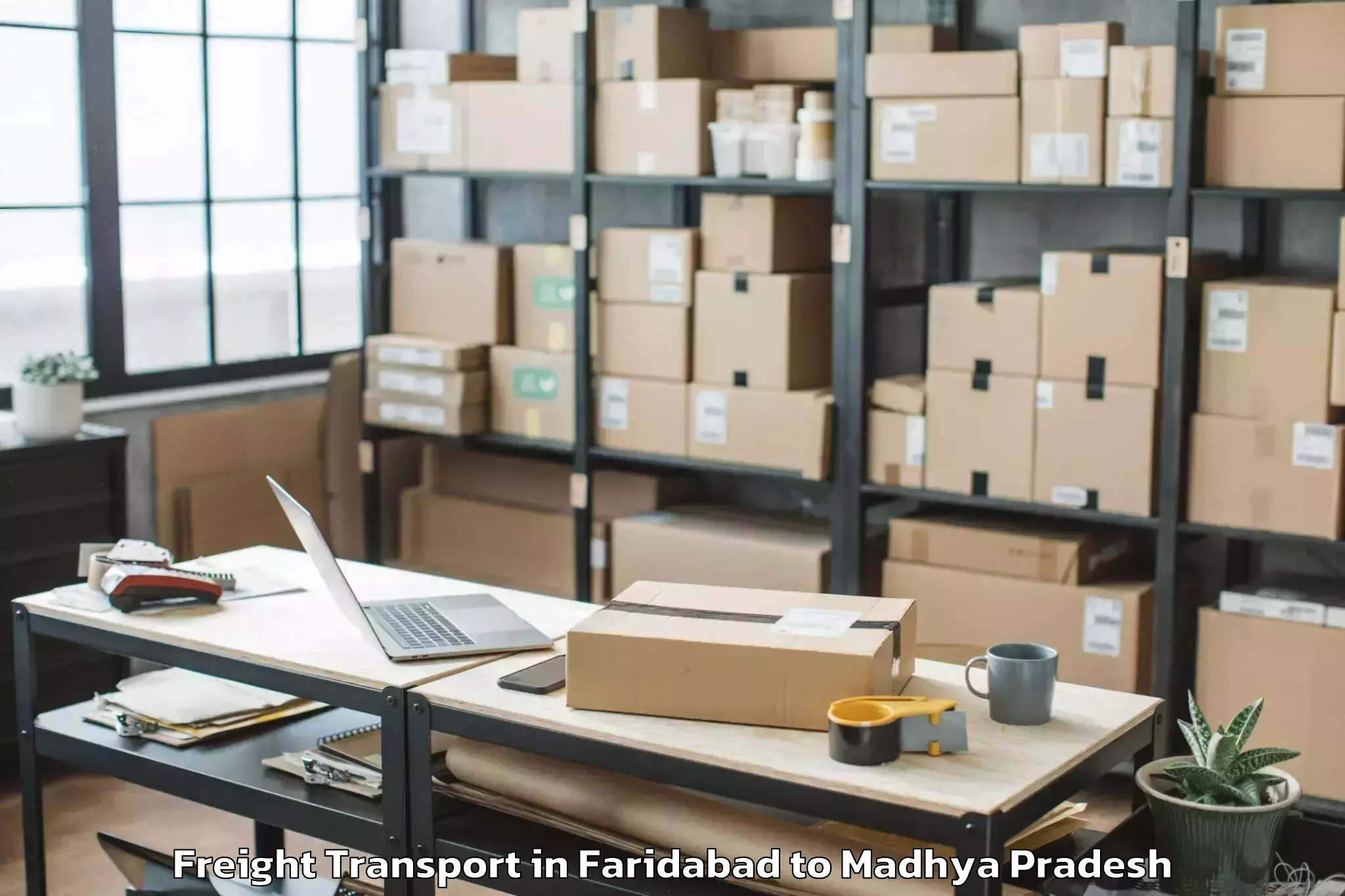 Professional Faridabad to Dumna Freight Transport